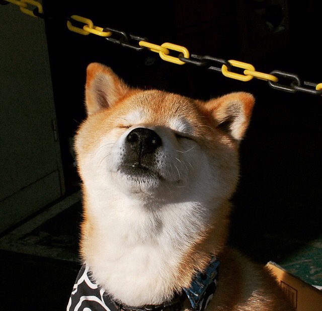 九游app官网下载-_传统体育文化节：弘扬民族体育精神_，弘扬中华民族传统体育文化