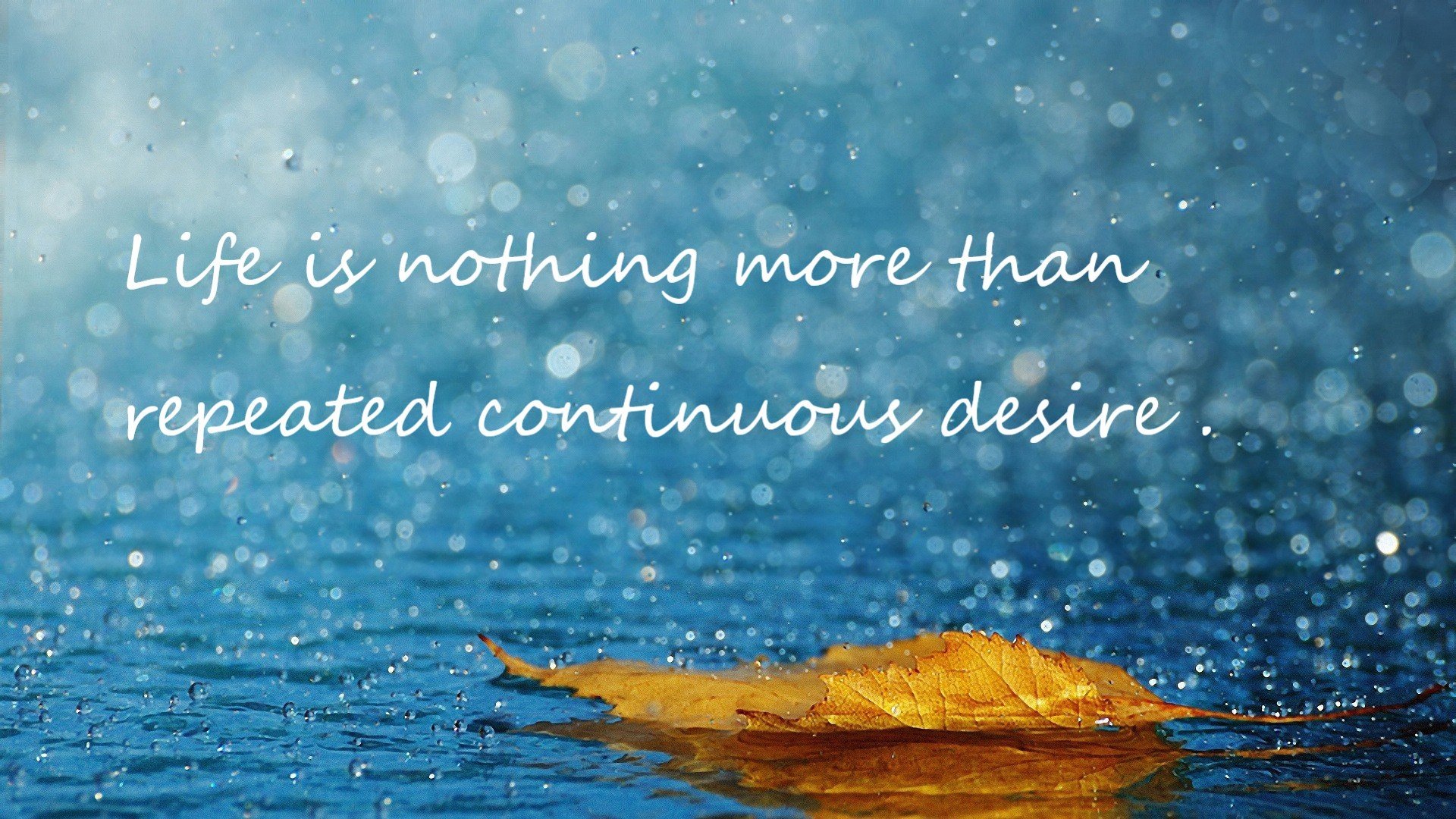 九游官网pc-_城市天际线滑索：悬空飙速，惊心动魄_，城市天际线拖拽道路