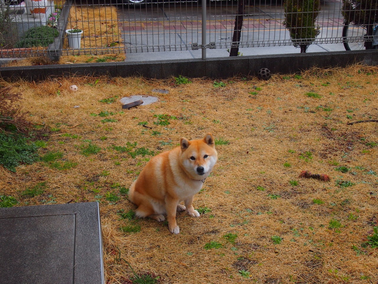 【本垒打的奥秘】如何准确击中高远球？技巧与规则解读，击打高远球最佳落点