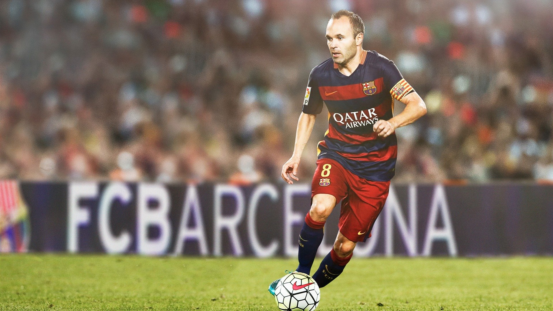 德国中生代泳将施瓦茨稳中求胜